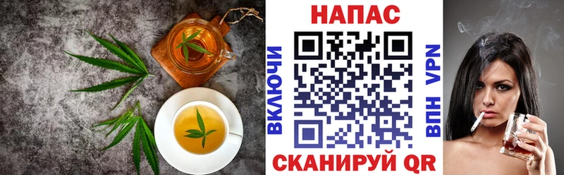 наркотики  Шенкурск  Canna-Cookies конопля 