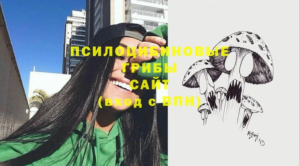 ГАЛЛЮЦИНОГЕННЫЕ ГРИБЫ Алзамай